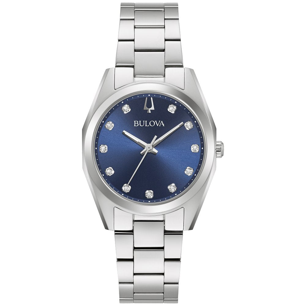 SURVEYOR L W BR BL D011