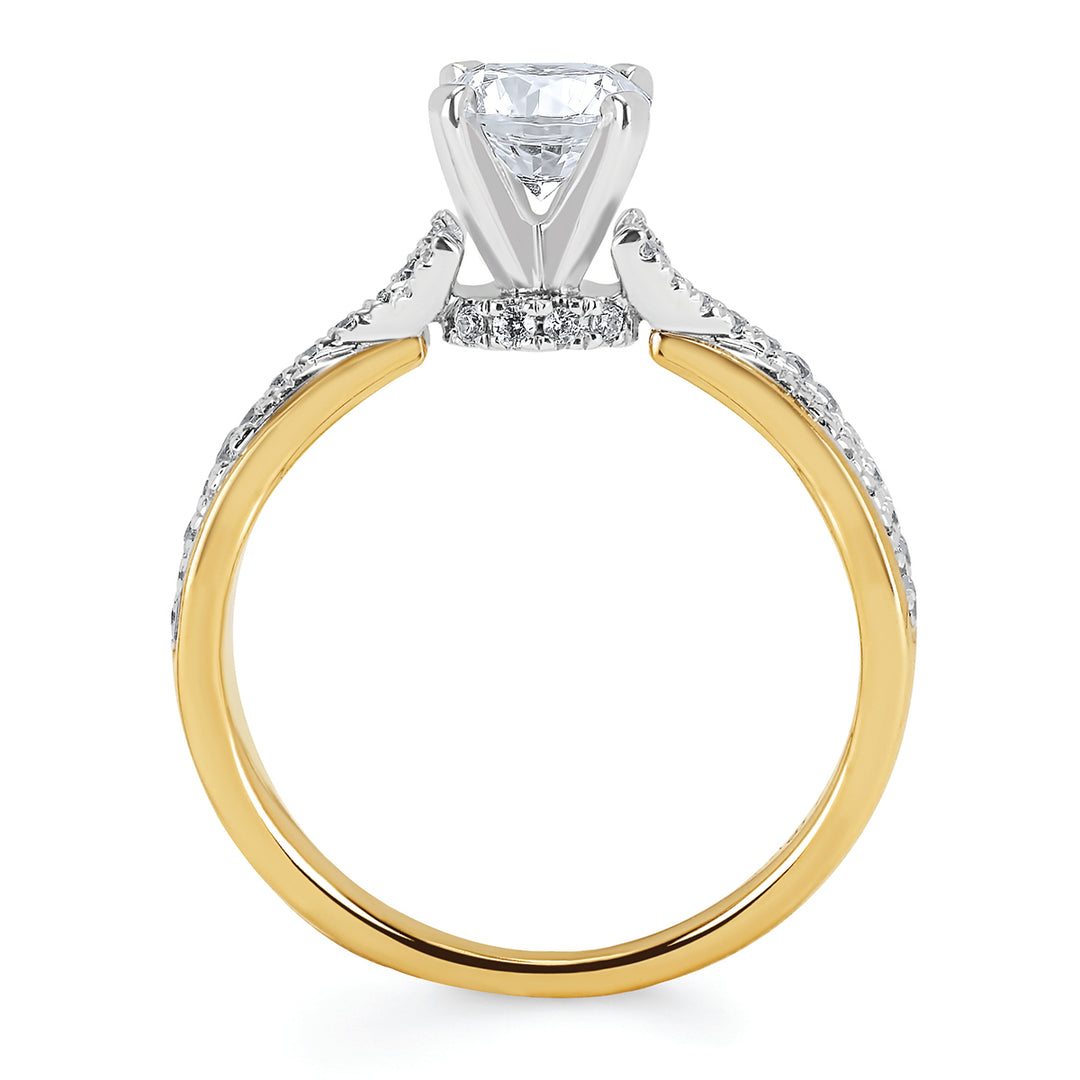 RING  RD B 0.252; STD