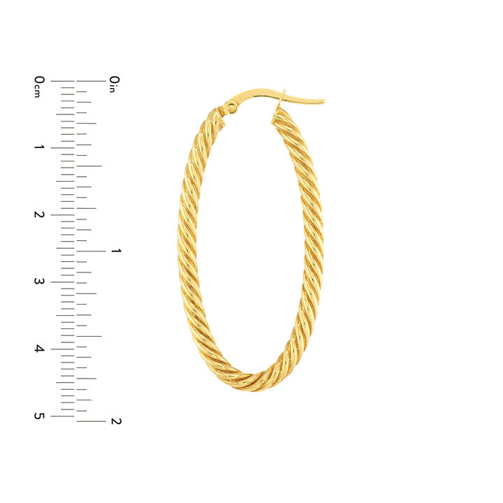Oval Rope Twist Hoop Earrings
